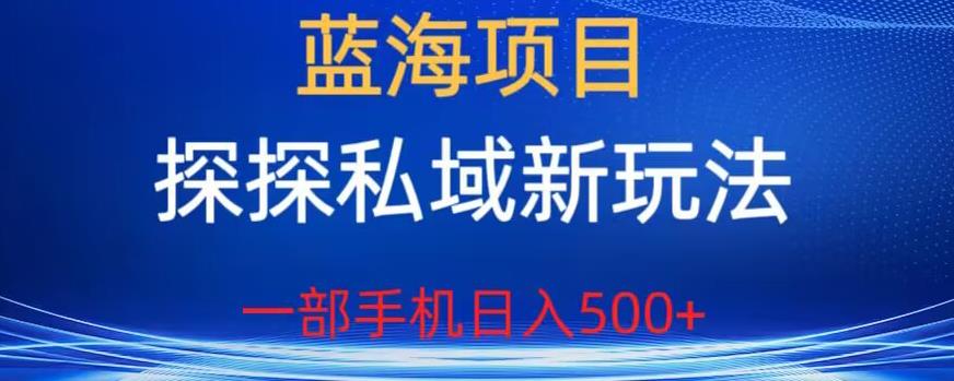 蓝海项目，探探私域新玩法，一部手机日入500+很轻松【揭秘】-鱼梓小栈
