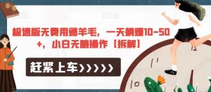 极速版无费用薅羊毛，一天躺赚10-50+，小白无脑操作【拆解】-鱼梓小栈