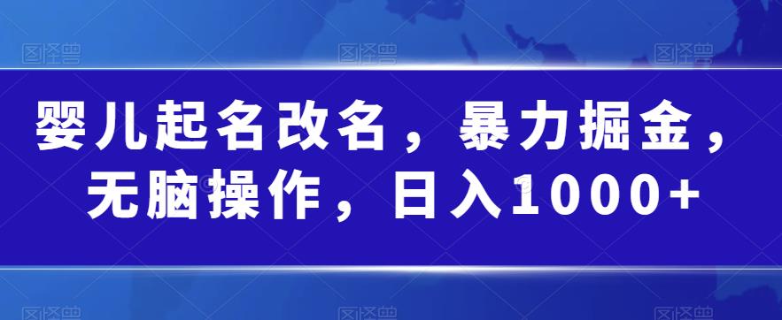 婴儿起名改名，暴力掘金，无脑操作，日入1000+【揭秘】-鱼梓小栈