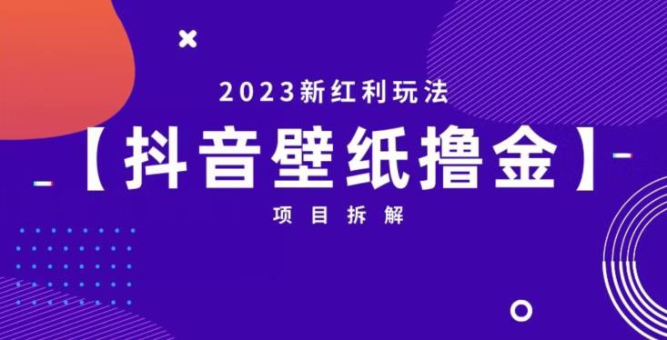 抖音壁纸小程序创作者撸金项目，2023新红利玩法【项目拆解】-鱼梓小栈