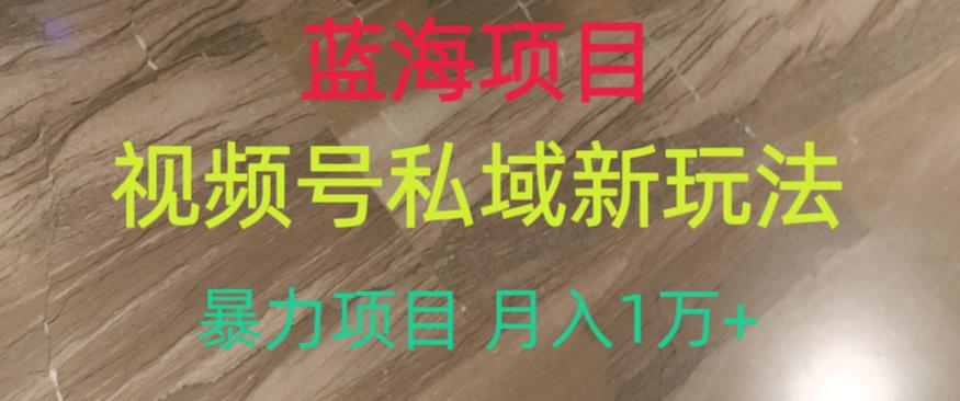蓝海项目，视频号私域新玩法，暴力项目月入1万+【揭秘】-鱼梓小栈