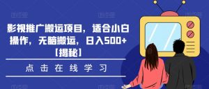 影视推广搬运项目，适合小白操作，无脑搬运，日入500+【揭秘】-鱼梓小栈