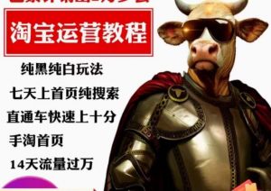 猫老师·淘系算法逆向解密，​纯黑纯白玩法，七天上首页纯搜索，手淘首页14天流量过万-鱼梓小栈