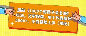 最新《1000个野路子信息差》玩法，文字视频，单个作品暴粉5000+，小白轻松上手【揭秘】-鱼梓小栈