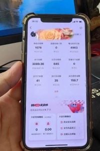 超级蓝海赛道保姆级教学，小红书无货源，无需实拍，如何做到日入1000+【揭秘】-鱼梓小栈