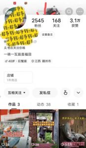 揭秘国学项目最新玩法，利用慈悲心疯狂敛财【揭秘】-鱼梓小栈