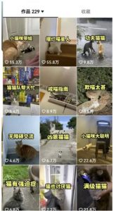 拆解抖音盘点类中视频变现副业项目，视频版一条龙大解析分享给你【视频课程】-鱼梓小栈