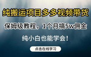 纯搬运项目多多视频带货保姆级教程，1个月搞5w佣金，纯小白也能学会【揭秘】-鱼梓小栈