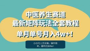 暴利赛道中医养生赛道最新矩阵玩法，单月单号月入4w+！【揭秘】-鱼梓小栈