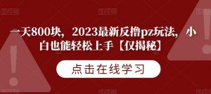 一天800块，2023最新反撸pz玩法，小白也能轻松上手【仅揭秘】-鱼梓小栈