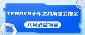 最新蓝海项目,靠最近非常火的TFBOYS十年之约演唱会流量掘金,八月必做的项目【揭秘】-鱼梓小栈