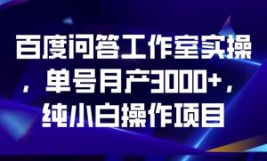 百度问答工作室实操，单号月产3000+，纯小白操作项目【揭秘】-鱼梓小栈