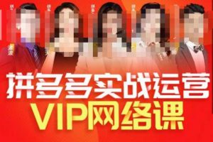 推易拼多多VIP全套直播课程，拼多多店铺实操玩法+实战玩法选款内功+直通车高阶等-鱼梓小栈