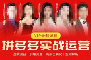 2023推易拼多多实战运营，选款测品、引爆流量、高点击转化、规则解析-鱼梓小栈