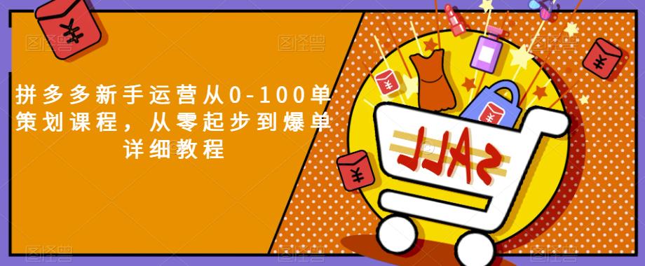 拼多多新手运营从0-100单策划课程，从零起步到爆单详细教程-鱼梓小栈