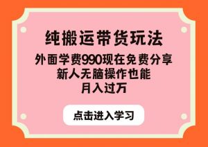 纯搬运带货玩法，外面学费990现在免费分享，新人无脑操作也能月入过万【揭秘】-鱼梓小栈
