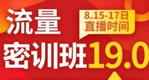 秋秋线上流量密训班19.0,打通流量关卡,线上也能实战流量破局-鱼梓小栈
