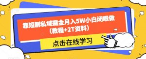 靠短剧私域掘金月入5W小白闭眼做（教程+2T资料）-鱼梓小栈