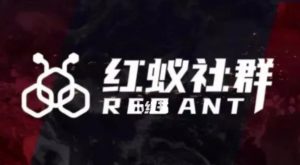 社群运营：红蚁社群【48节落地系统课程+2000人高端社群】-鱼梓小栈