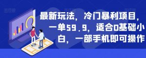 最新玩法，冷门暴利项目，一单59.9，适合0基础小白，一部手机即可操作【揭秘】-鱼梓小栈