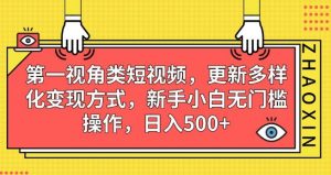 第一视角类短视频,更新多样化变现方式,新手小白无门槛操作,日入500+【揭秘】-鱼梓小栈