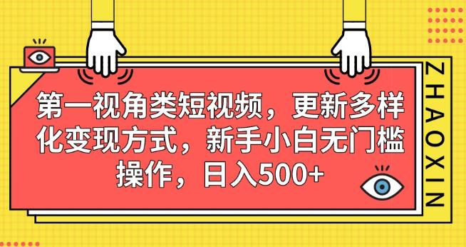 第一视角类短视频，更新多样化变现方式，新手小白无门槛操作，日入500+【揭秘】-鱼梓小栈