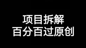 项目拆解赛道百分百过原创【揭秘】-鱼梓小栈