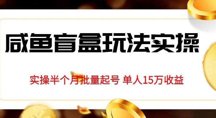 独家首发咸鱼盲盒玩法实操，半个月批量起号单人15万收益【揭秘】-鱼梓小栈