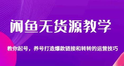 闲鱼无货源教学，教你起号，养号打造爆款链接以及转转的运营技巧-鱼梓小栈