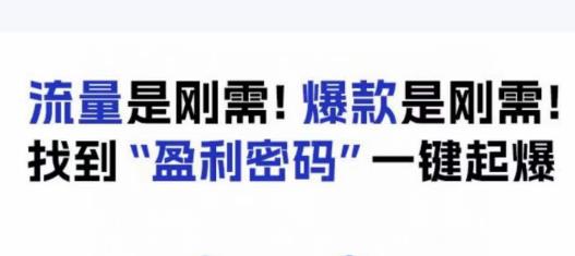 电商盈利精品课：6大盈利密码让产品更好卖，流量是刚需！爆款是刚需！找到”盈利密码”一键起爆-鱼梓小栈
