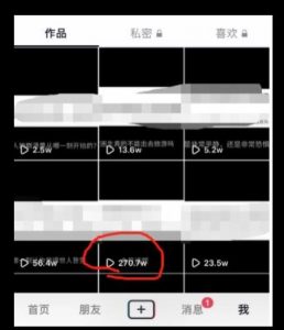 黄金知识赛道，一条作品涨粉500+，私域高利润单品转化，一部手机轻松实现日入500【揭秘】-鱼梓小栈