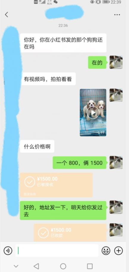 外边收费3980的同城萌宠项目，用最冷门的玩法冲击最热门的市场【揭秘】-鱼梓小栈