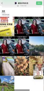 外面收费198的最新视频号连怼技术,条条原创,条条爆单【揭秘】-鱼梓小栈