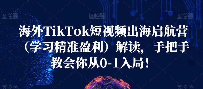 海外TikTok短视频出海启航营（学习精准盈利）解读，手把手教会你从0-1入局！-鱼梓小栈