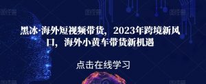 黑冰·海外短视频带货，2023年跨境新风口，海外小黄车带货新机遇-鱼梓小栈