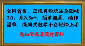 全网首发正规男粉玩法卖圆味3.0，月入5W+，简单粗暴，操作简单，保姆式教学，小白轻松上手-鱼梓小栈