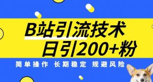 B站引流技术：每天引流200精准粉，简单操作，长期稳定，规避风险-鱼梓小栈