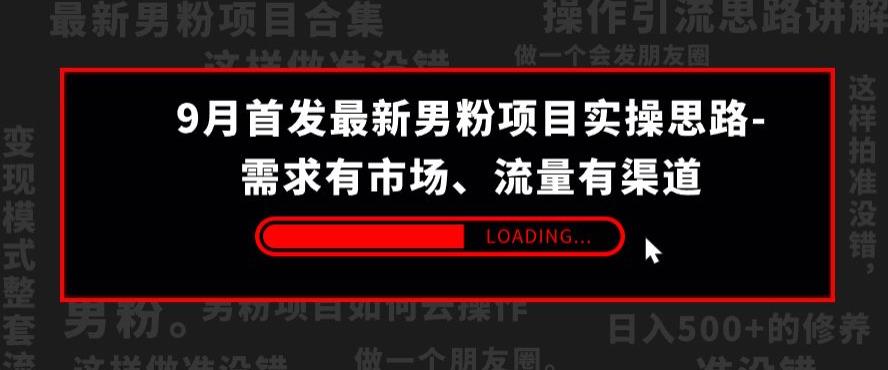 9月首发最新男粉项目实操思路-需求有市场，流量有渠道【揭秘】-鱼梓小栈
