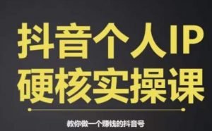 个人IP创富系统实战课，商业定位，流量打造，短视频变现，教你做个赚钱的抖音号-鱼梓小栈