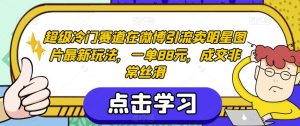 超级冷门赛道在微博引流卖明星图片最新玩法,一单88元,成交非常丝滑【揭秘】-鱼梓小栈