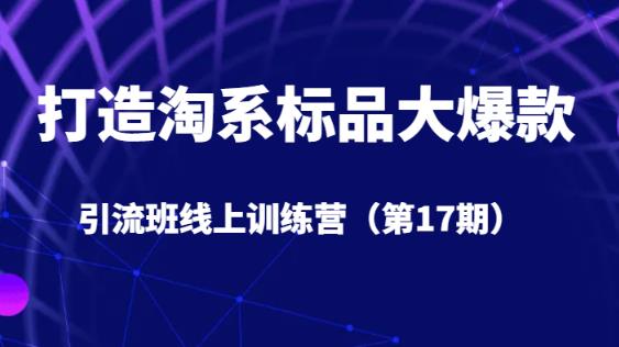 打造淘系标品大爆款引流班线上训练营（第17期）5天直播授课-鱼梓小栈