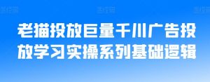 老猫投放巨量千川广告投放学习实操系列基础逻辑-鱼梓小栈