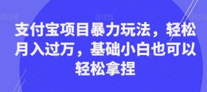 支付宝项目暴力玩法，轻松月入过万，基础小白也可以轻松拿捏【揭秘】-鱼梓小栈