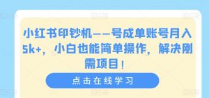 小红书印钞机——号成单账号月入5k+，小白也能简单操作，解决刚需项目【揭秘】-鱼梓小栈