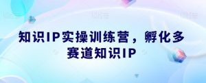 知识IP实操训练营，​孵化多赛道知识IP-鱼梓小栈