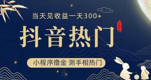 抖音最新小程序撸金，测手相上热门，当天见收益一小时变现300+【揭秘】-鱼梓小栈