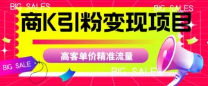 商K引粉变现项目,高客单价精准流量【揭秘】-鱼梓小栈
