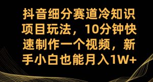 抖音细分赛道冷知识项目玩法，10分钟快速制作一个视频，新手小白也能月入1W+【揭秘】-鱼梓小栈