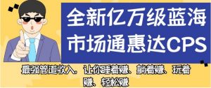 全新亿万级蓝海市场通惠达cps,最强管道收入,让你睡着赚、躺着赚、玩着赚、轻松赚【揭秘】-鱼梓小栈