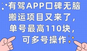 有驾APP口碑无脑搬运项目又来了，单号最高110块，可多号操作-鱼梓小栈